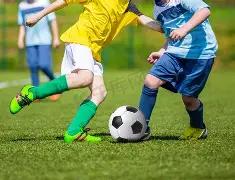 利物浦,岁新星恩古,莫哈将开启,万博manbetx体育平台,万博体育官网,万博体育app下载,ManBetX,SPORTS