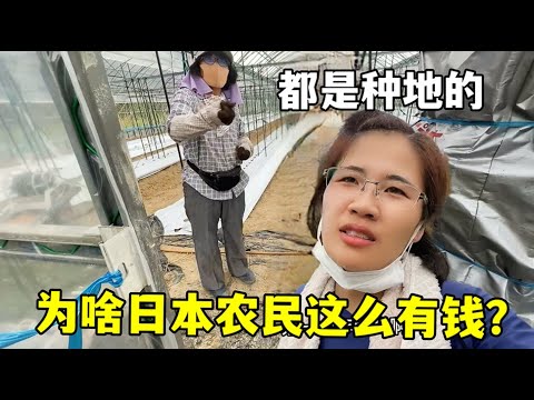 海峡两岸暨,港澳帆船赛,的欢乐瞬间,万博manbetx体育平台,万博体育官网,万博体育app下载,ManBetX,SPORTS
